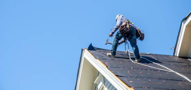 Best Roof Gutter Cleaning  in Newmanstown, PA